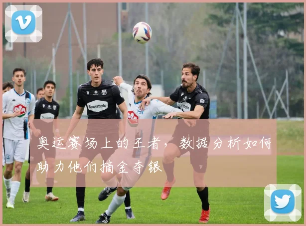 奥运赛场上的王者，数据分析如何助力他们摘金夺银