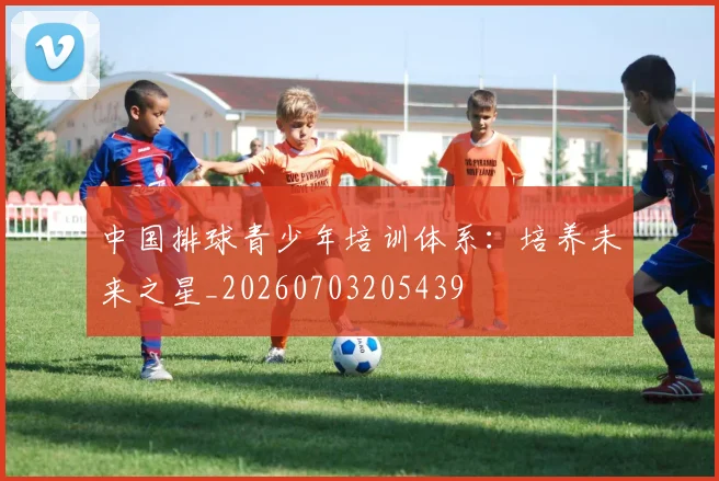 中国排球青少年培训体系：培养未来之星_20260703205439